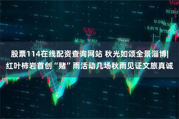 股票114在线配资查询网站 秋光如颂全景淄博|红叶柿岩首创“赌”雨活动几场秋雨见证文旅真诚