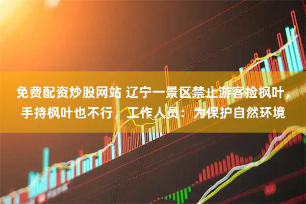 免费配资炒股网站 辽宁一景区禁止游客捡枫叶，手持枫叶也不行，工作人员：为保护自然环境